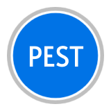 PEST Analysis