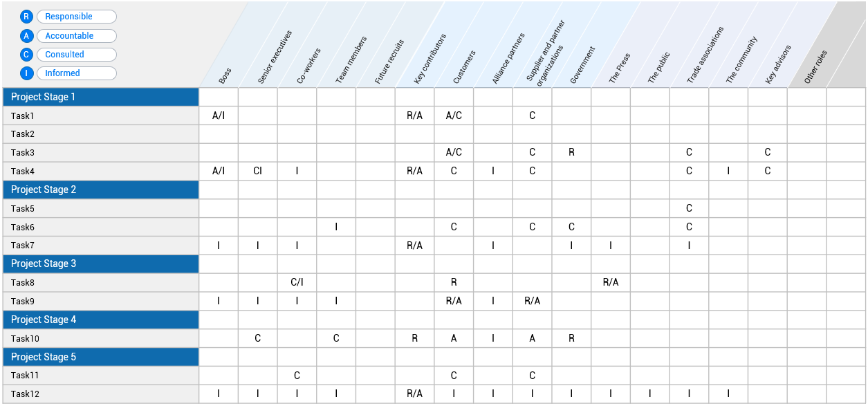 RACI Worksheet template preview